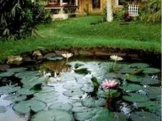 Prana Dewi Mountain リゾート 4*