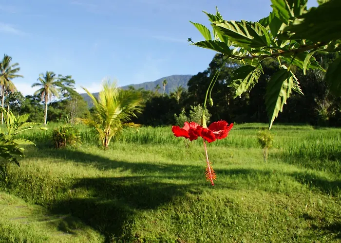 Prana Dewi Mountain 4* Джатилувих