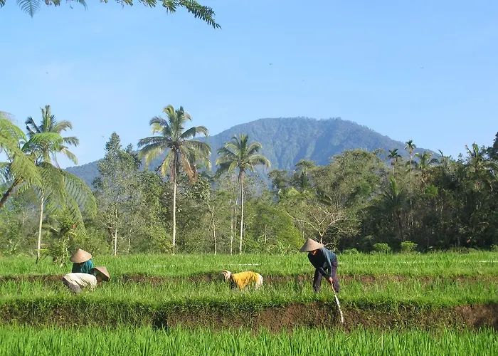 リゾート Prana Dewi Mountain