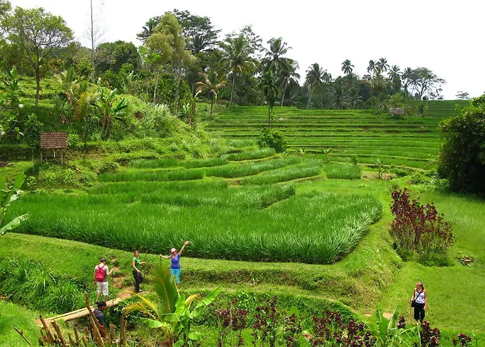 Курортный комплекс Prana Dewi Mountain 4*