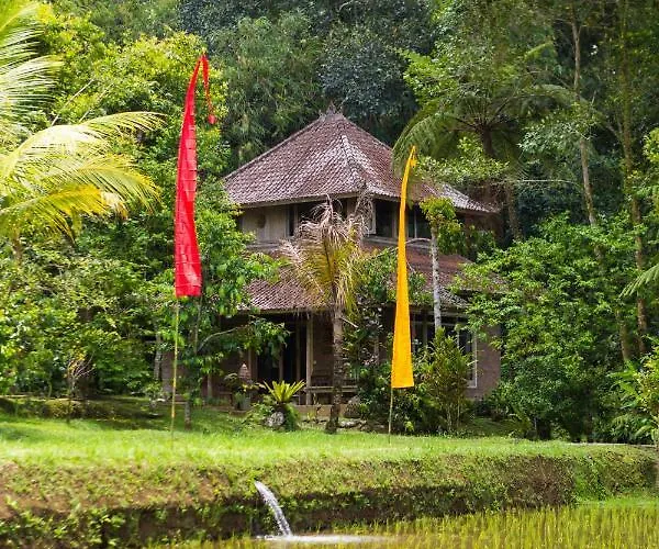 Prana Dewi Mountain 4* ジャティルウィ